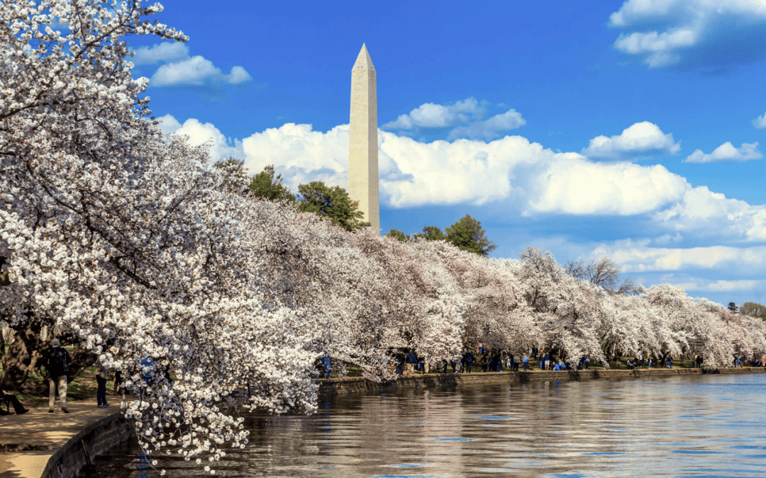 These Are 7 Most Affordable Places to Live Near DC - Jake's Moving